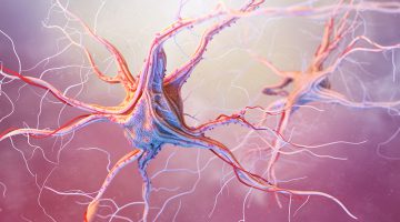 With Integrins, Necessity Really is the Mother of all Invention