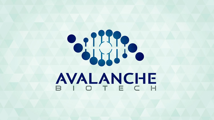 Avalanche’s Post-AMD Pivot Takes Step Outside Ophthalmology - OIS Article