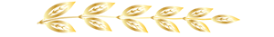 underline2 underline2