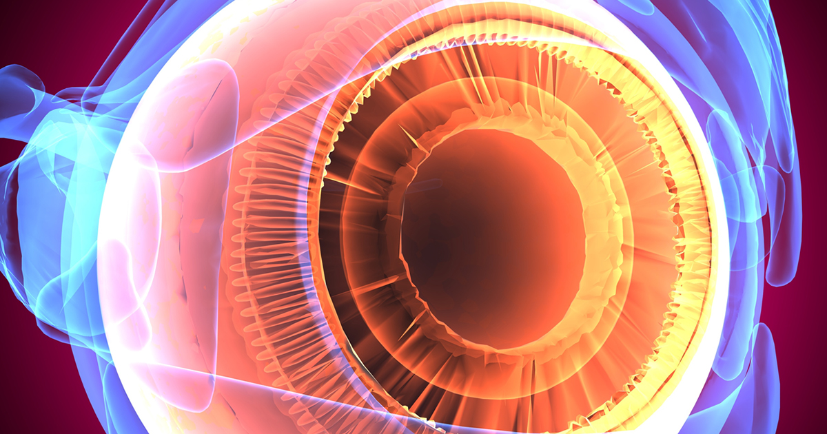The State of the Art of Glaucoma Genetics