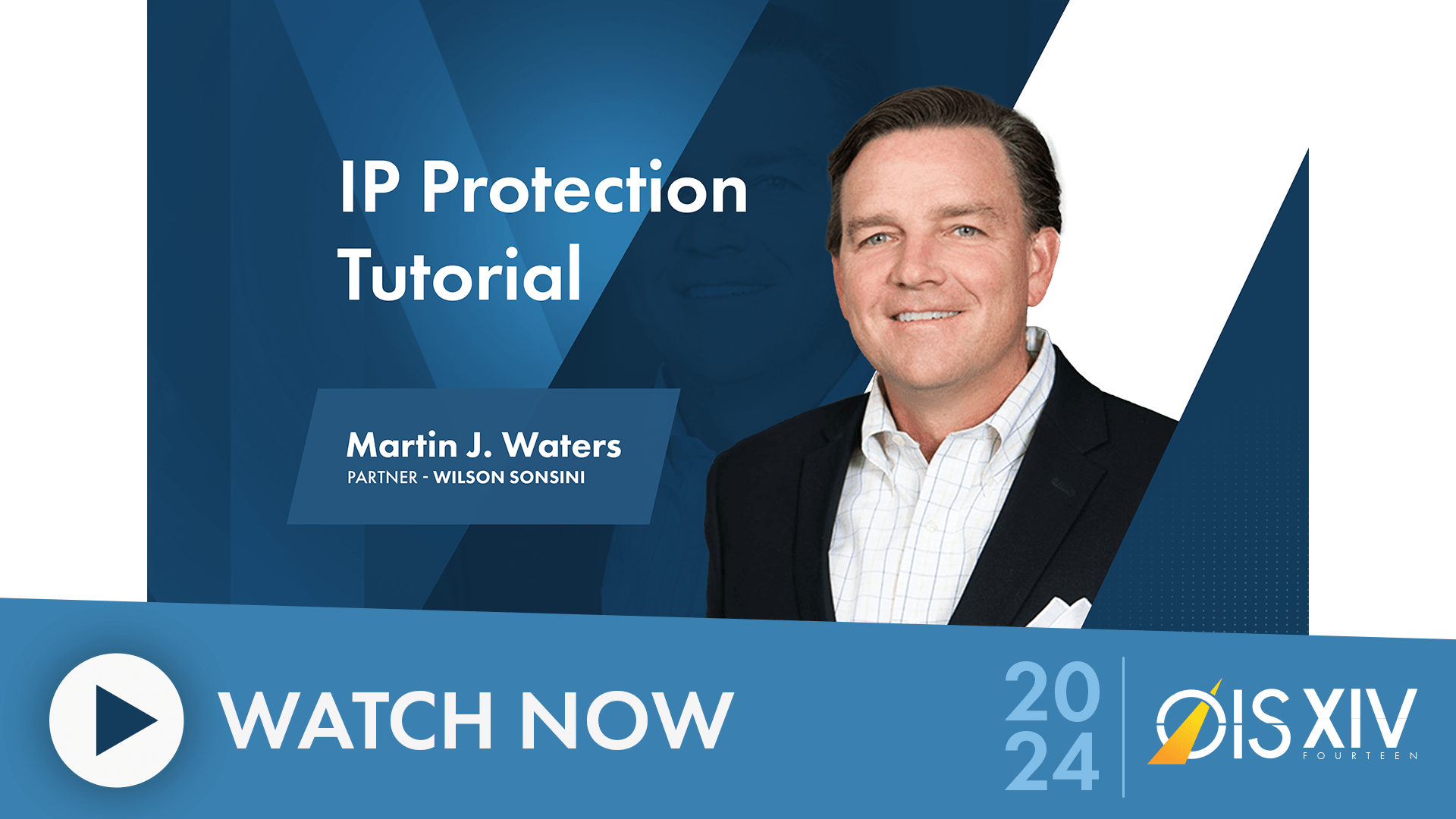 IP Protection Tutorial