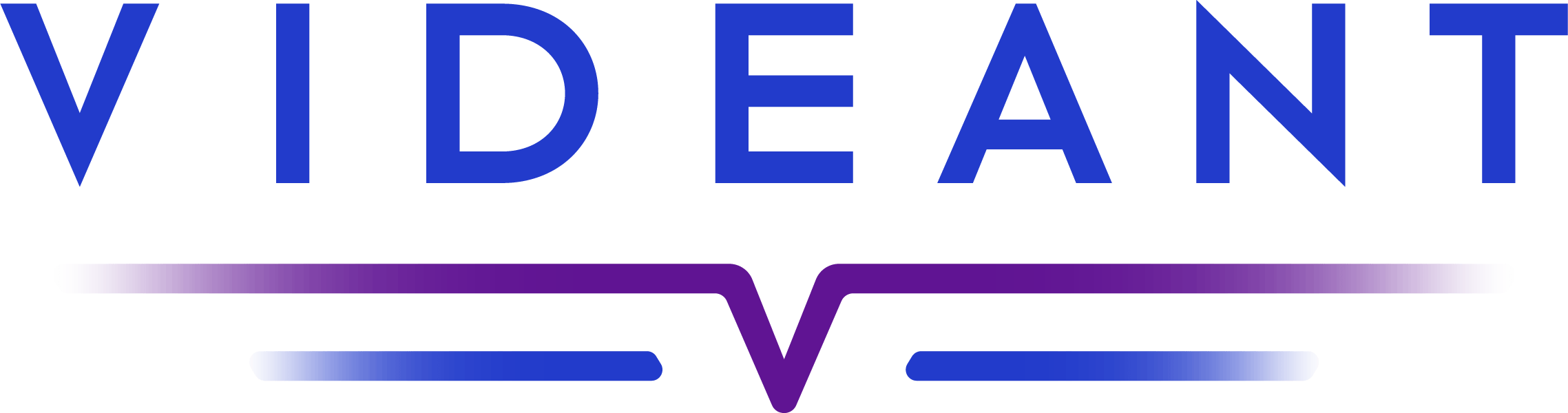videant_logo_20241214