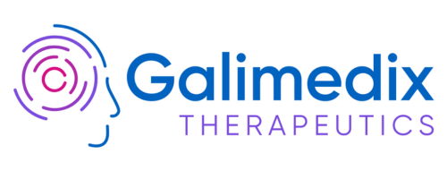 Galimedix 500x200 Logo template Galimedix 500x200 Logo template